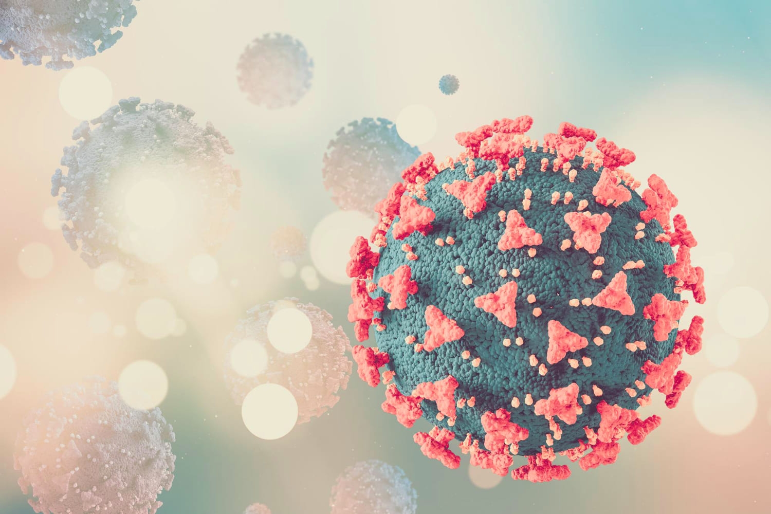 Consulta de Descarte Máximo Total en CDMX | Safe Care